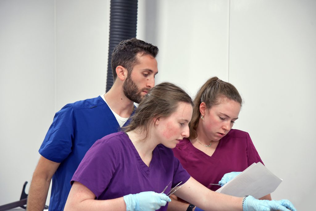 Three students in the anatomy lab examining a model.